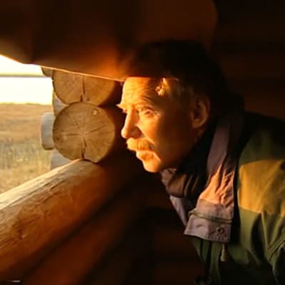 Jörgen Palmgren tarkkailee lintuja Otanmäen lintutornissa.