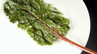 Grönsaker är förvisso nyttigt, men den som vill hålla vikten bör äta tillräckligt mycket av allt. Bild: YLE/Glowimages