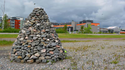 stenkummel på västra åstranden i borgå