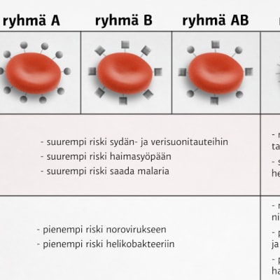 Taulukko.