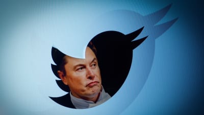 Elon Musk avbildad i Twitterfågeln.