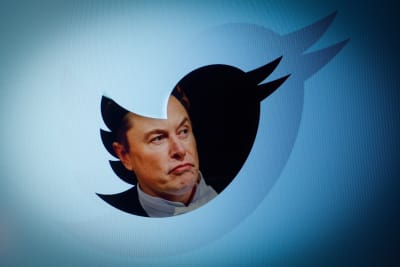 Elon Musk avbildad i Twitterfågeln.