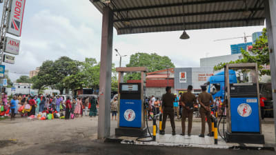 Folk köar efter bränsle på Sri Lanka.