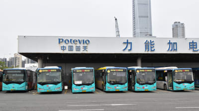 Ljusblåa kinesiska elbussar på rad