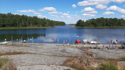 Kust med båtbrygga i förgrunden.