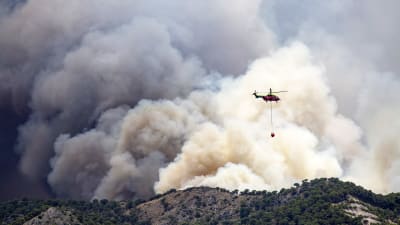 En helikopter bekämpar en markbrand och avtecknas tydligt mot röken från branden.