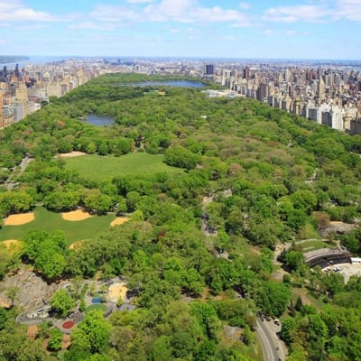 Central Park i New York