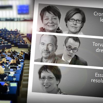 Vem av våra europaparlamentariker har mest makt?