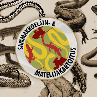 sammakkoeläin -ja matelijakartoitus uusi logo