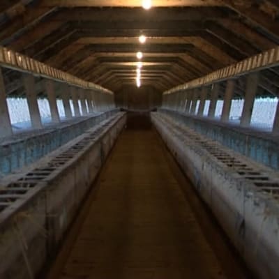 Skugghus på pälsfarm