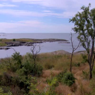 Vy från Vekara