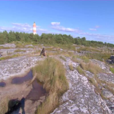Vy från Enskär
