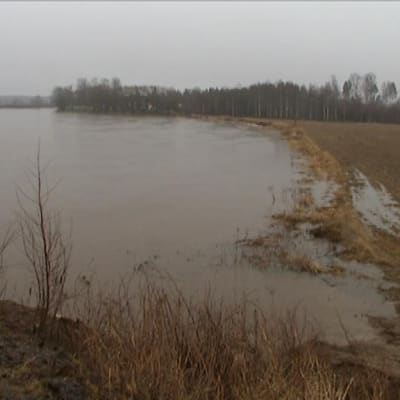 Översvämning vid Båskas i Korsholm