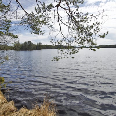 Kivijärvi sijaitsee Talvivaaran eteläpuolella.