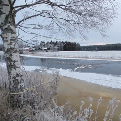Hyydetulvia pyritään estämään köysillä Ähtävänjoella.