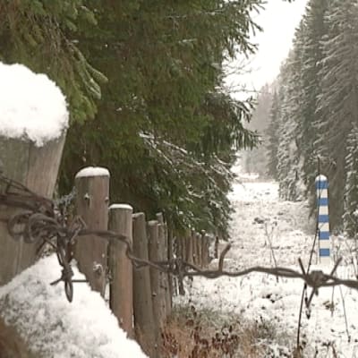 Suomen ja Venäjän raja metsässä.