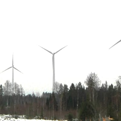 Jopa tuhat tuulivoimalaa on parhaillaan hankkeilla Pohjois-Pohjanmaalla.