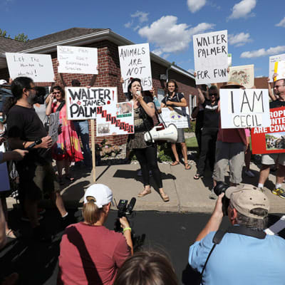 Mielenosoiyyajia ja kuvaajia hammaslääkärin vataanoton edustalla Minnesotassa.