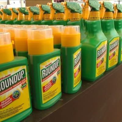 Monsanto-yrityksen Roundup on maailman yleisin glyfosaattimyrkky.