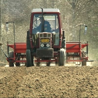 Traktori kylvötöissä pellolla