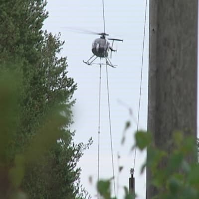 Sähkölinjoja raivataan helikopterilla Uudessakaupungissa