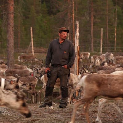 Aatsinki - Story of Arctic Cowboys