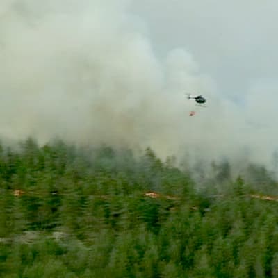 helikopteri savuavan metsän yllä
