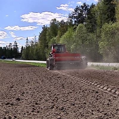 Traktori kylvää kauraa pellolla. Kevätkylvöt päästään tänä vuonna aloittamaan jo vapun tienoilla. 