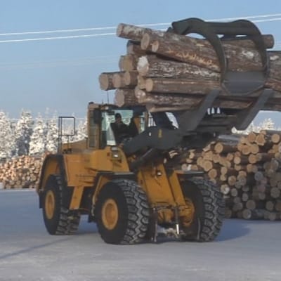 Sahat. Pölkky Oy. Suomalaiset sahat eivät lastaa tällä hetkellä kotimaassa Egyptiin lähtevää puutavaraa.