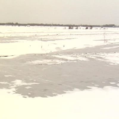 Nopeasti pakastunut sää jäädytti peltoja Siikalatvalla.