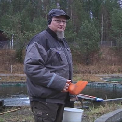Keskijärven Kalanviljelylaitoksen toiminnanjohtaja Kari Kujala