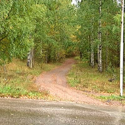 Vuoksenniskan koulupolku