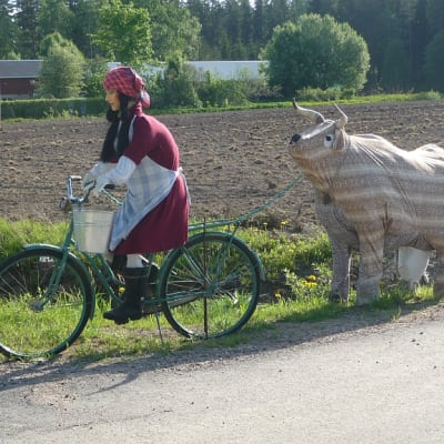 Tilataideteos, jossa pyöräilevä nainen vetää lehmää perässään.