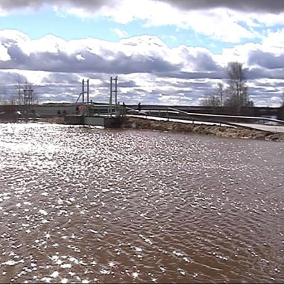 Lapuanjoesta avattiin tulvapadot pelloille Löyhingin pumppaamolla 20.4.2013.