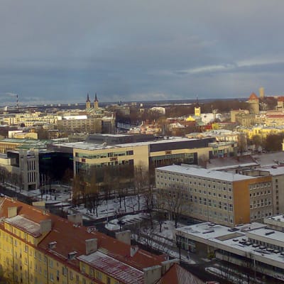 Kuvassa näkymä Tallinnan keskustasta ylhäältä katsottuna , taloja ja  kirkontorneja.