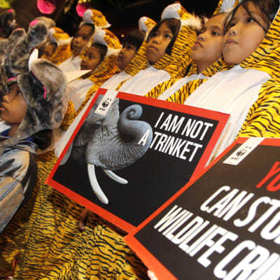 Thaimaalaislapset esittivät vastalauseensa eläinten salametsästystä ja -kuljetusta vastaan ennen varsinaisen seremonian alkua Cites-konferenssissa Bangkokissa 3. maaliskuuta 2013.