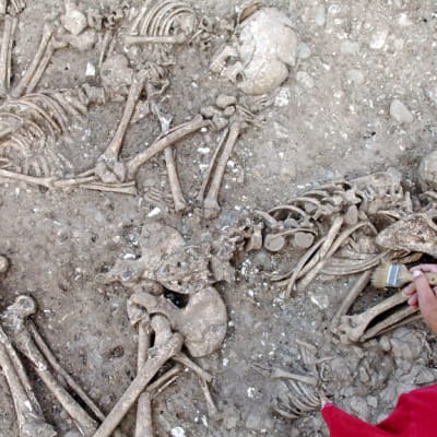Tutkija putsaa pensselillä kivikautista hautaa Saksan Eulaussa 