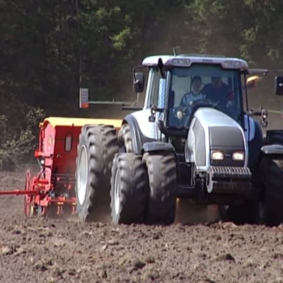 Tractor sowing seeds