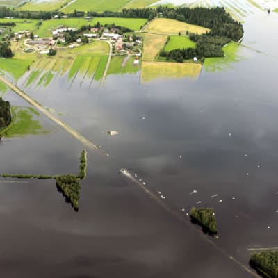 Ilmakuva Siikajoen tulva-alueesta.