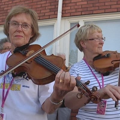 Kuva vuoden 2008 Speleistä Alavudelta.