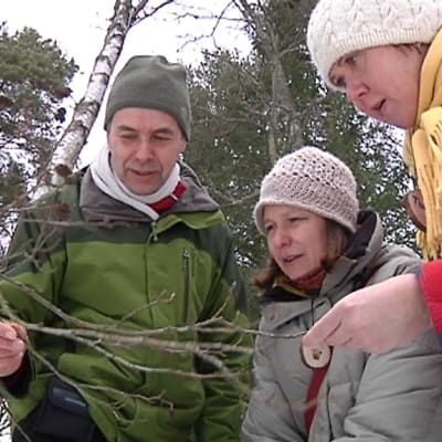 Kuvassa luontokoulujen opettajat Tiina Lecklin, Olli Viding ja Virpi Sahi rastitehtävän parissa Kokkolan luontokoulun lähimaastossa Villa Elbassa.