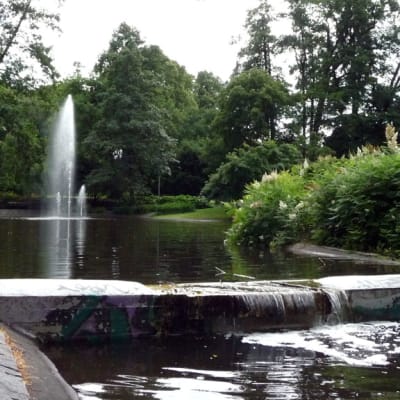 Alppipuiston suihkulähde.