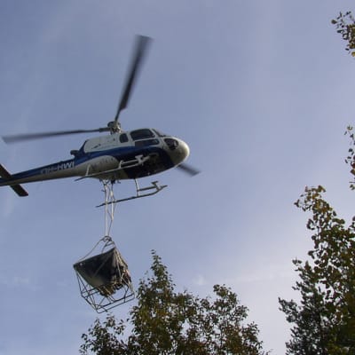 Helikopteri lannoittaa metsää