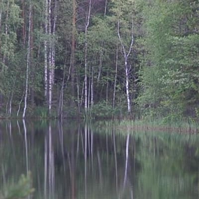 järvenranta Evolla