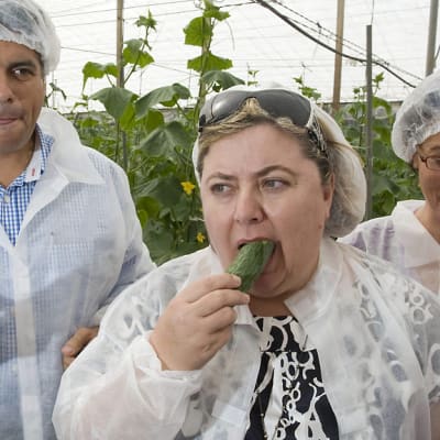 Espanjan maatalousministeri maistaa kurkkua viljelijät ympärillään.