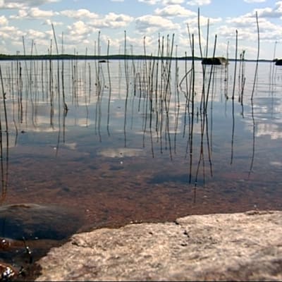 Messutonteilla aukeaa näkymät Pyhävedelle.