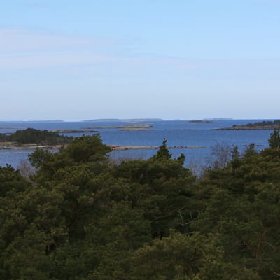 Ulko-Tammio kuuluu Itäisen Suomenlahden kansallispuistoon.