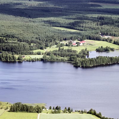 Maatila ja mökkejä Nuasjärven rannalla Sotkamossa ilmakuvassa.