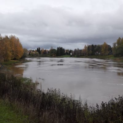 Loimijoki Huittisissa Huittinen joki vedenpinta korkealla