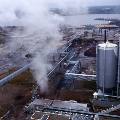 metsä group joutseno